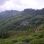 Darjeeling_20