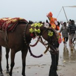 Digha_17