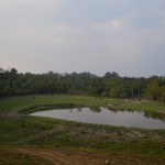 Gorumara_1