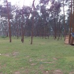 Shankarpur_34
