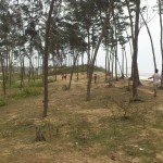 Shankarpur_39
