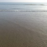 Tajpur_12