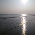 Tajpur_14