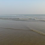 Tajpur_15