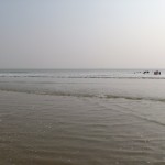 Tajpur_26