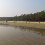 Tajpur_29