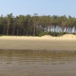 Tajpur_30