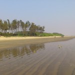 Tajpur_31