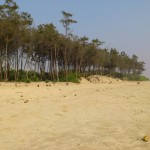 Tajpur_34