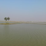 Tajpur_44