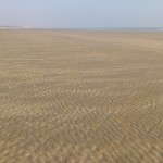 Tajpur_5