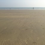 Tajpur_6