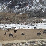 Gurudongmar_45