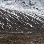 Gurudongmar_49