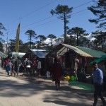 Yumthang_10