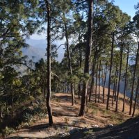 nainital_0065
