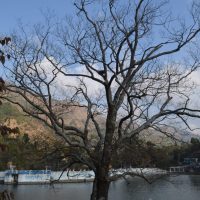 nainital_0082