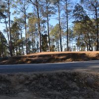 ranikhet_0015