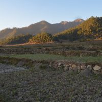 ranikhet_0028